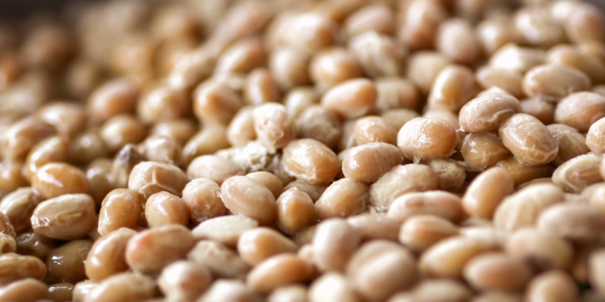 Soja fermentada Soja fermentada