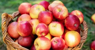 Propiedades y beneficios del vinagre de sidra de manzana para tu salud