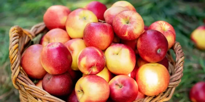 Propiedades y beneficios del vinagre de sidra de manzana para tu salud