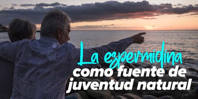 La espermidina como fuente de juventud natural La espermidina como fuente de juventud natural