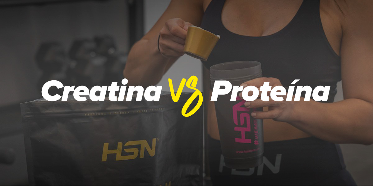 Creatine or Protein which is better according to your goals? Archysport