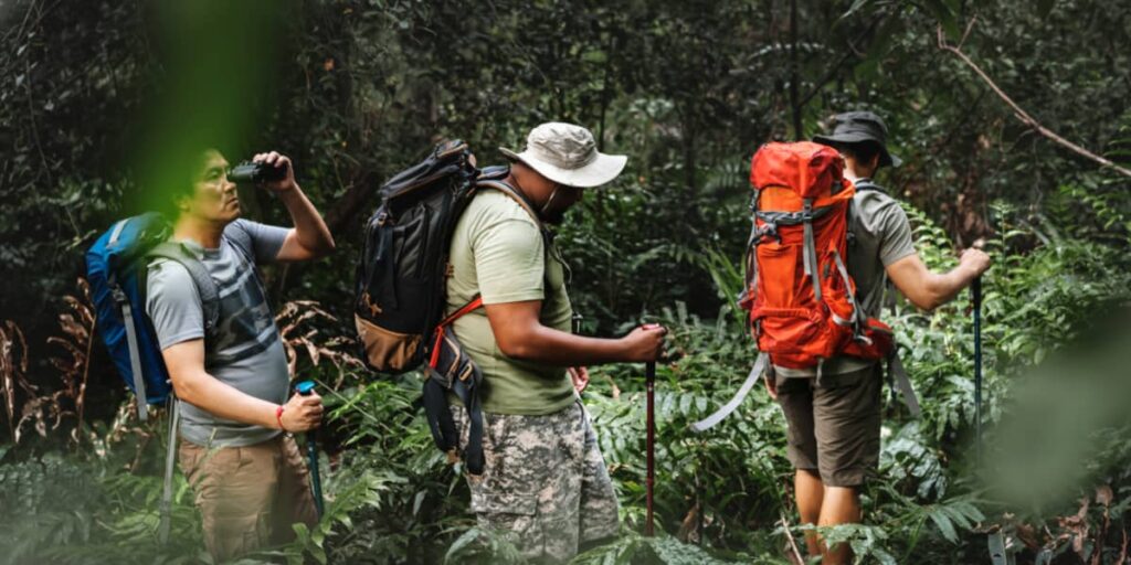 ¿Cuál es la diferencia entre Hiking y Trekking? HSN