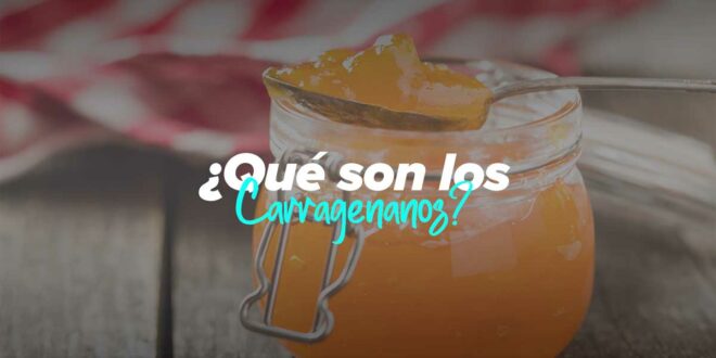 ¿Qué son los Carragenanos?