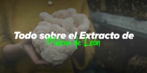 mujer sujetando el hongo melena de león