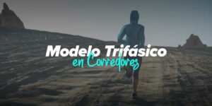 Modelo Trifásico para Corredores