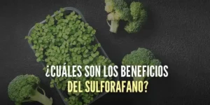 ¿Qué es el Sulforafano y qué beneficios tiene para la salud?