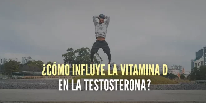 ¿La vitamina D aumenta la testosterona?