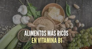 Alimentos más ricos en Vitamina B1