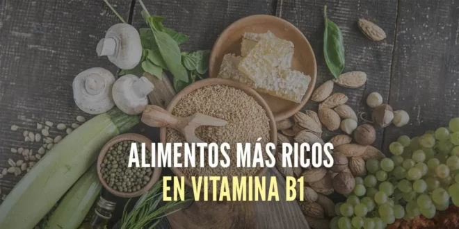 Alimentos más ricos en Vitamina B1 Alimentos más ricos en Vitamina B1