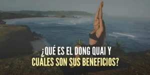 ¿Qué es el Dong Quai y cuáles son sus beneficios?