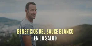 10 Beneficios del sauce blanco en la salud