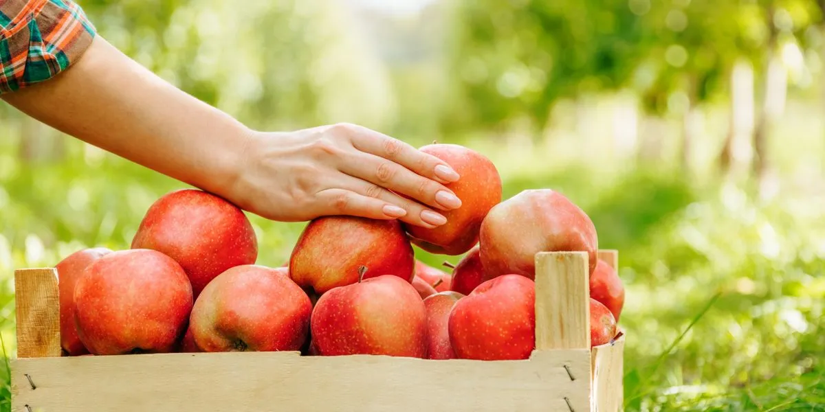 Fonte naturale di pectina di mela