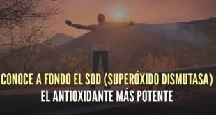 Superóxido Dismutasa (SOD): El antioxidante más potente
