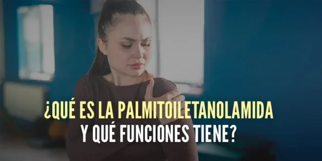 ¿Qué es la Palmitoiletanolamida y qué funciones tiene?