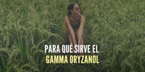 Para qué sirve el Gamma oryzanol