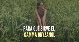 Para qué sirve el Gamma oryzanol