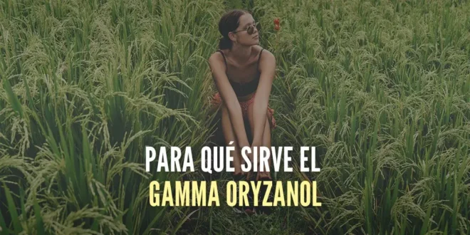 Para qué sirve el Gamma oryzanol Para qué sirve el Gamma oryzanol