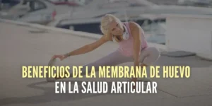 Beneficios de la membrana de huevo en la salud articular