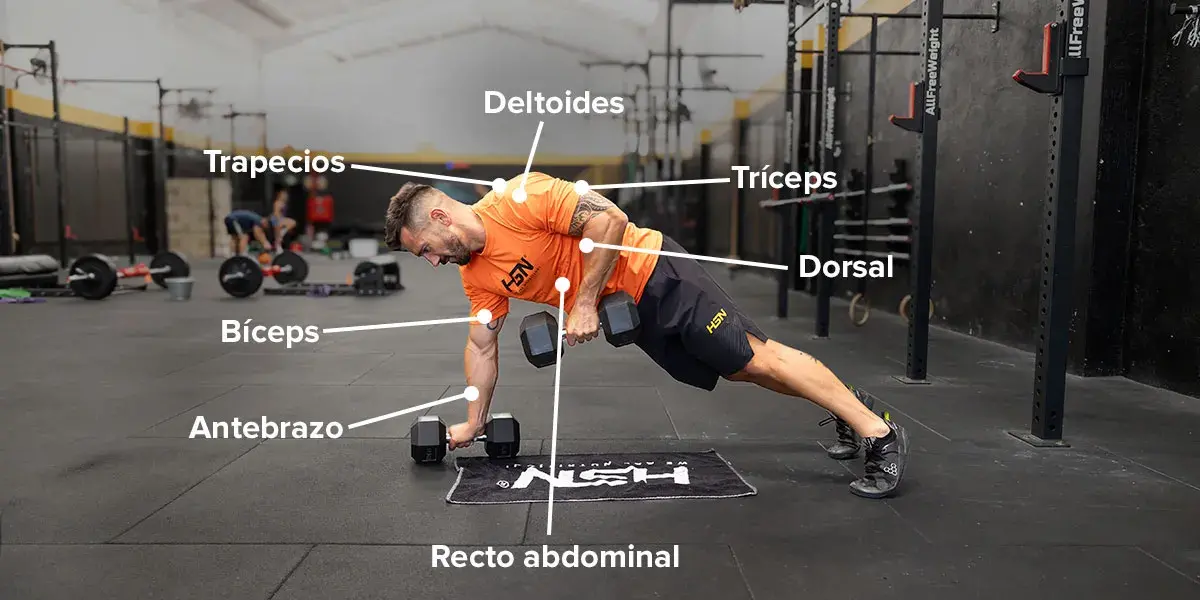 Músculos implicados en el Renegade Row
