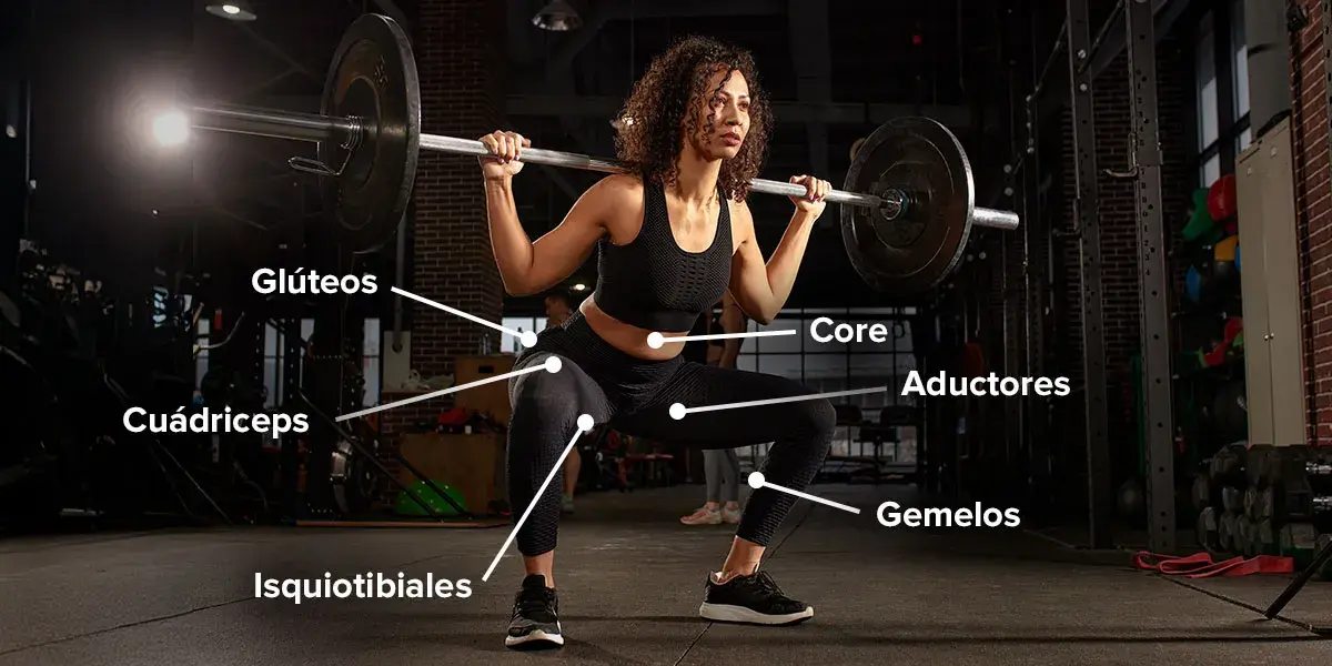 Músculos implicados en sumo squat