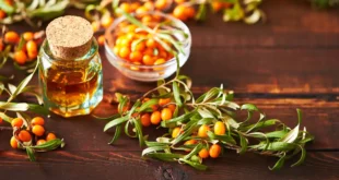 ¿Qué es el omega 7 y cómo puede mejorar tu salud?