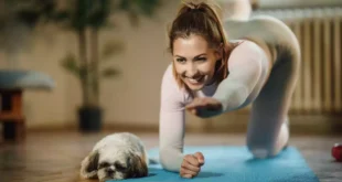 Cómo hacer el Bird Dog