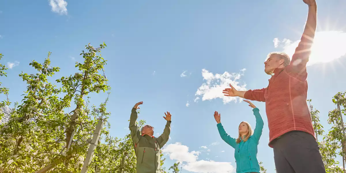 People breathing fresh air in the middle of a forest