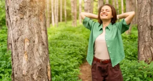 Beneficios de la Schisandra en la salud y cómo tomarla