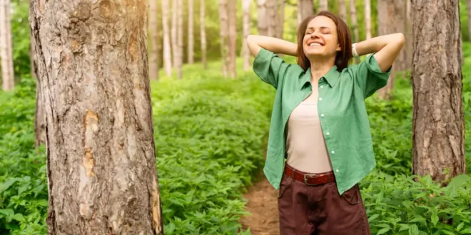 Beneficios de la Schisandra en la salud y cómo tomarla Beneficios de la Schisandra en la salud y cómo tomarla