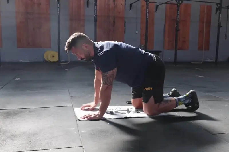 Bird Dog alternierend