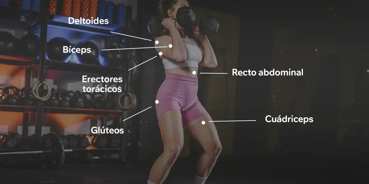 Músculos implicados en el Front Rack Carry