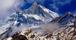 Qué es el Shilajit y por qué se considera un superalimento milenario