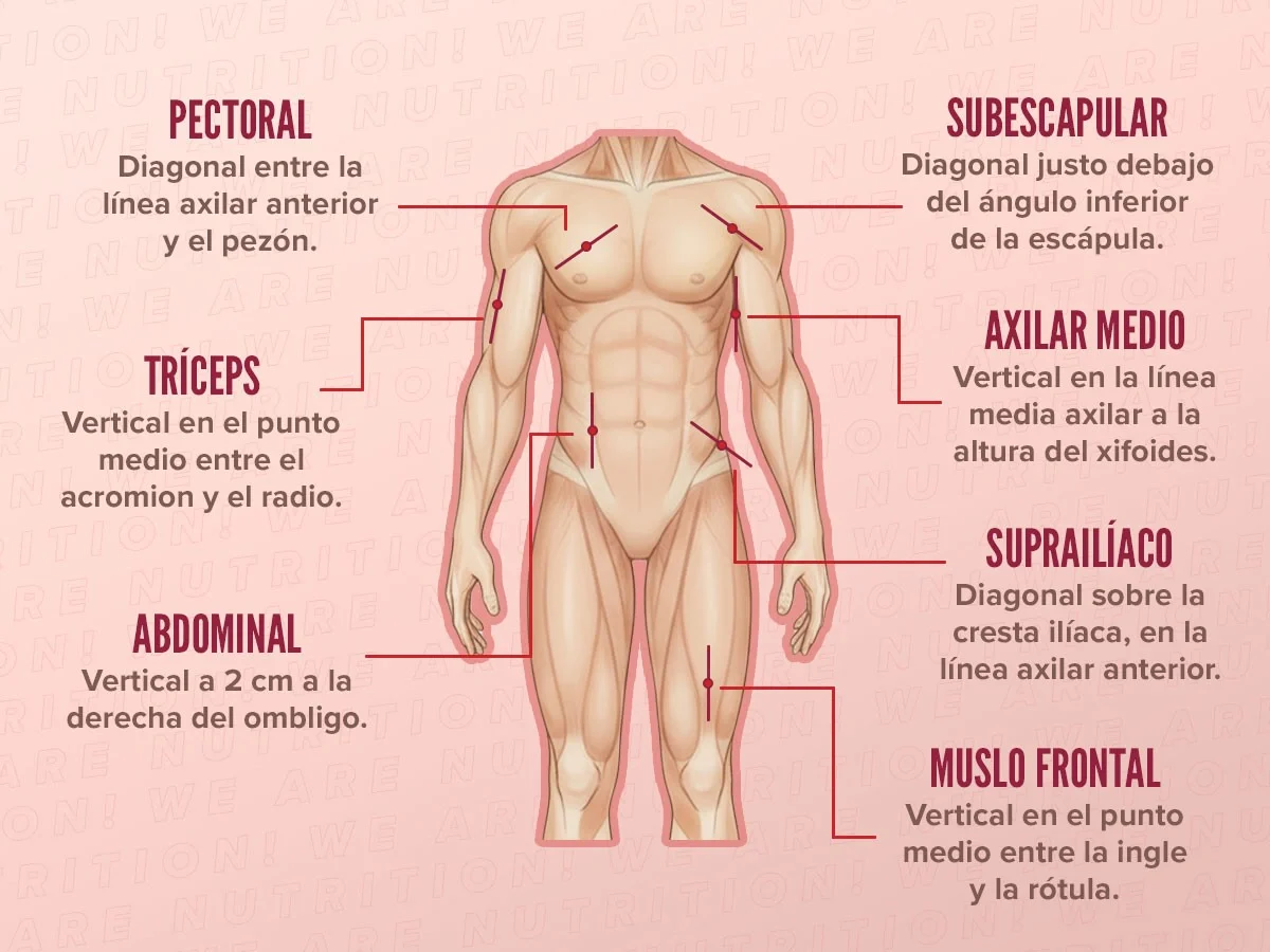 Pliegues musculares