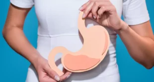 Fermentos Tindalizados: Qué son, cómo actúan y sus ventajas digestivas