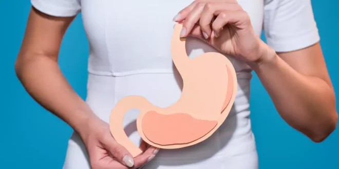 Fermentos Tindalizados: Qué son, cómo actúan y sus ventajas digestivas