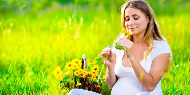 Aceite de Onagra: Bienestar en la etapa fértil