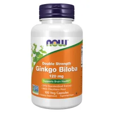 GINKGO BILOBA 120mg