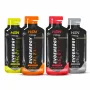 EVOENERGY GEL CON CAFEÍNA