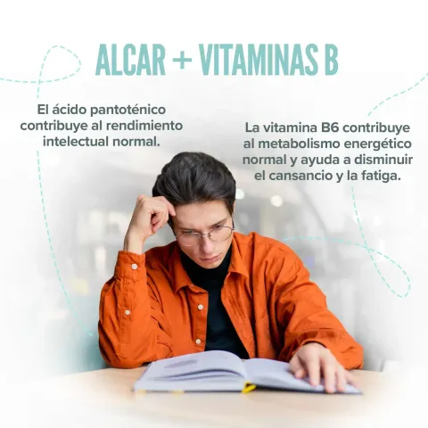 acetil l carnitina yl carnitina diferencias Acetil L-Carnitina (ALCAR) 500mg con Vitaminas B5 y B6