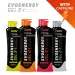 EVOENERGY GEL CON CAFEÍNA