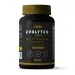 EVOLYTES (SALES DE ELECTROLITOS)