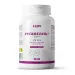 Pycnogenol® EXTRACTO DE CORTEZA DE PINO MARÍTIMO (1000:1) 25mg
