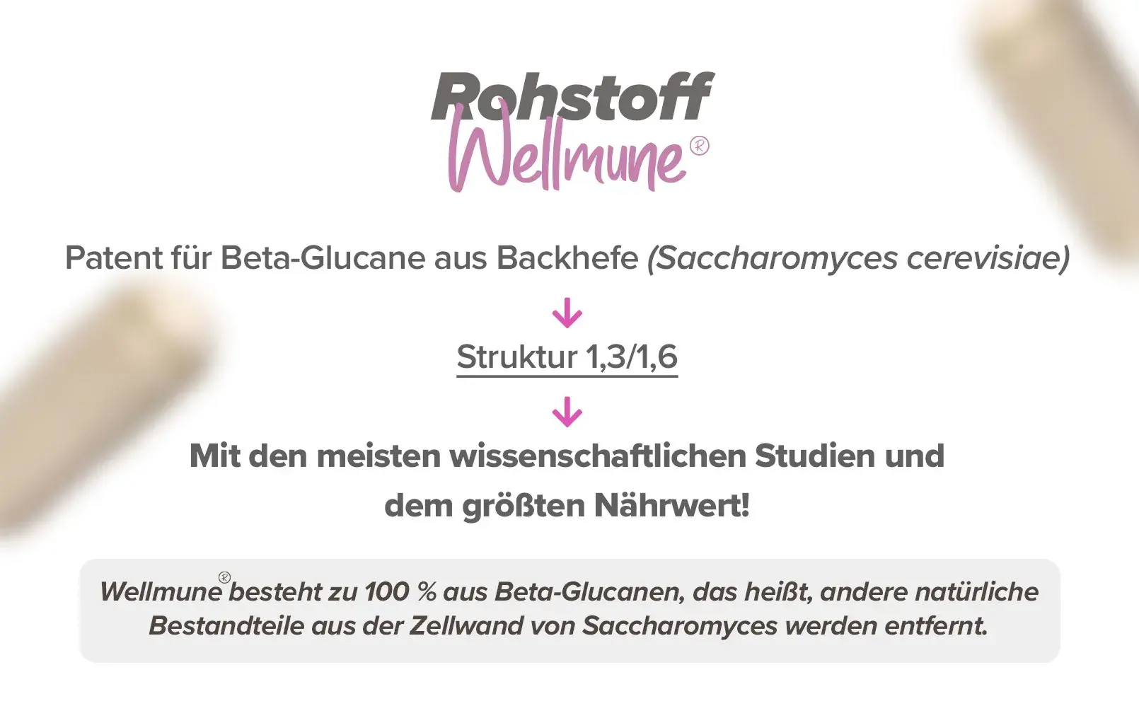 Fplus 3 Wellmune