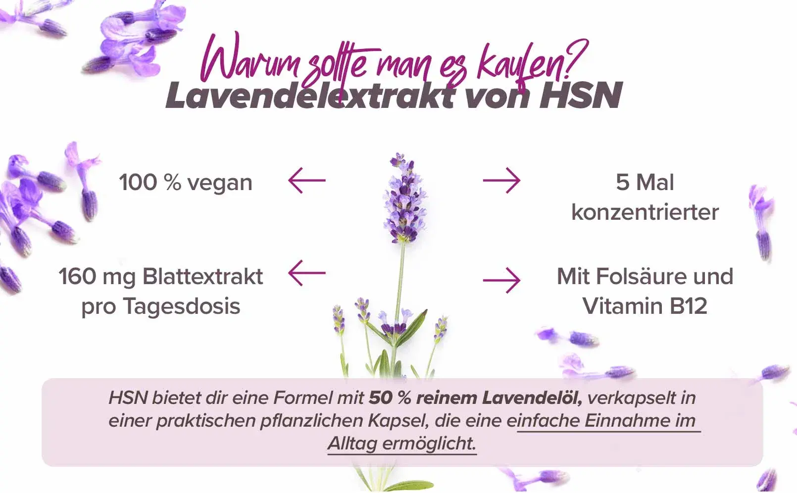 Fplus 4 Lavendel