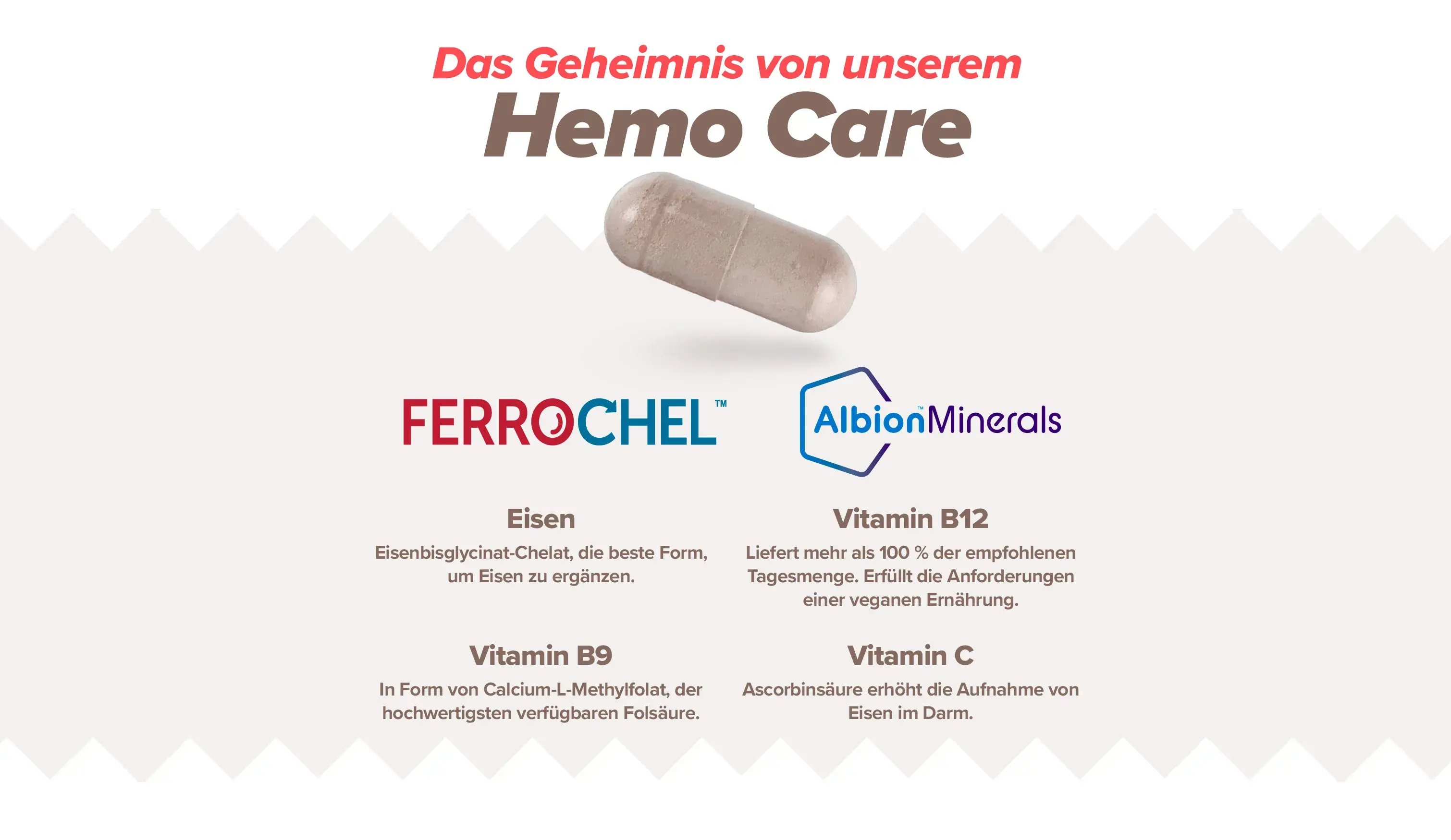 Fplus 4 Hemo Care