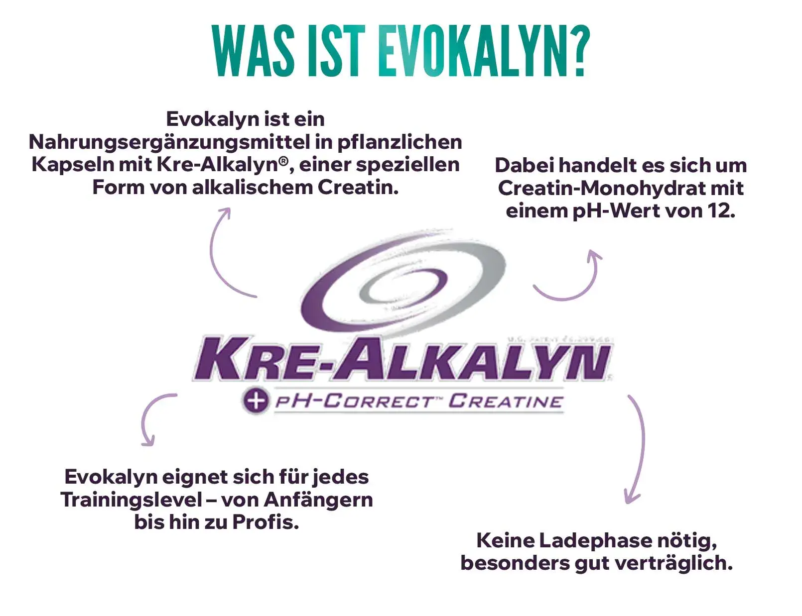 Fplus 2 Evokalyn