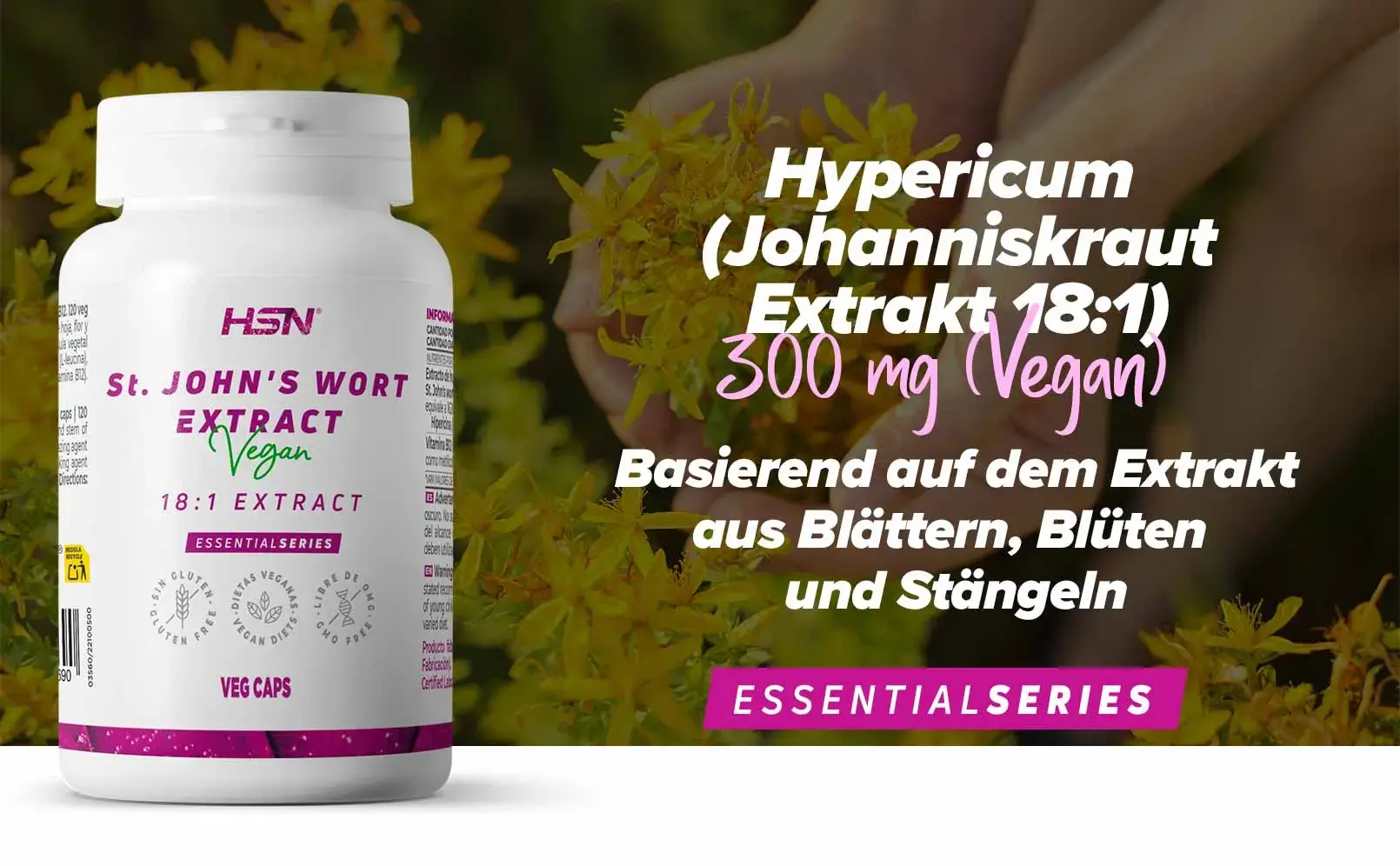 Fplus 1 Hypericum