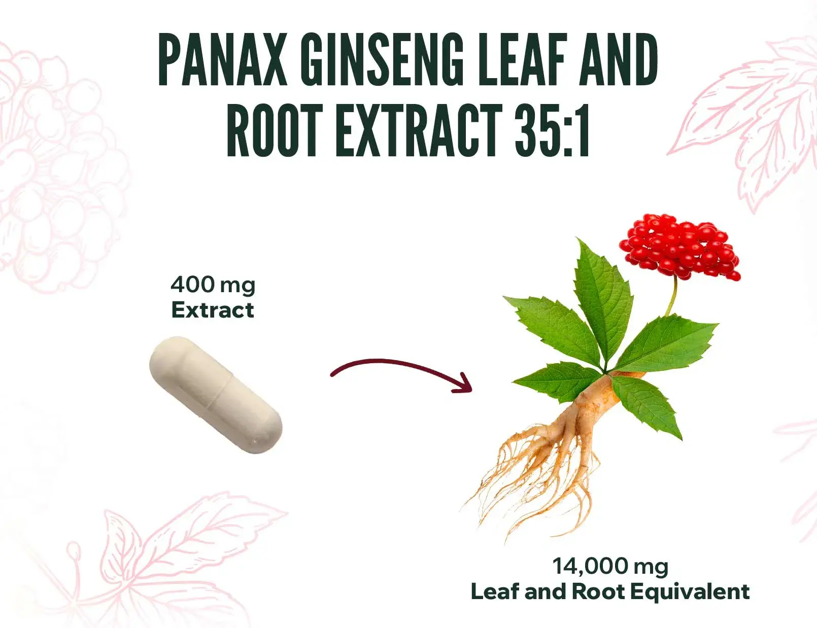 fplus 4 extracto de panax ginseng
