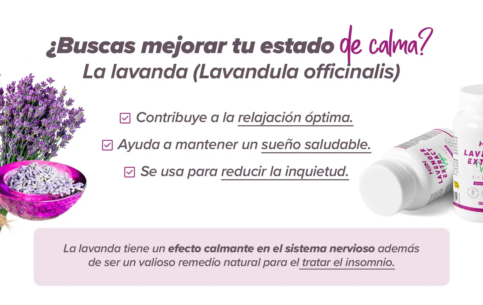Fplus 2 Lavanda
