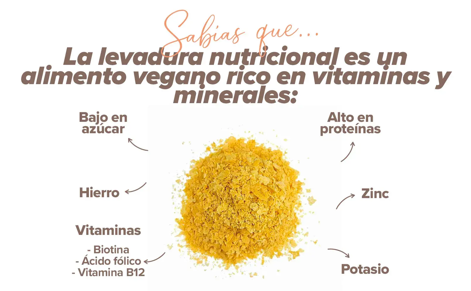 Fplus 2 Levadura Nutricional